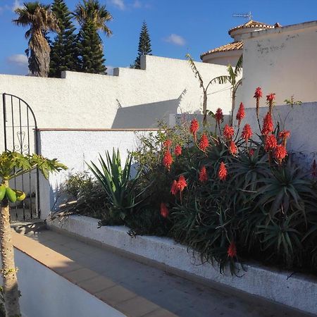 A Little Paradise With Super Views In Almuñécar Buitenkant foto